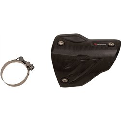 Bmw s 1000 rr abs carbon fiber akrapovic