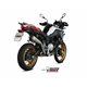 BMW F 850 GS 2018 DELTA RACE INOX COPA CARBONO