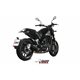 BENELLI LEONCINO 2017 OVAL CARBONO COPA CARBONO